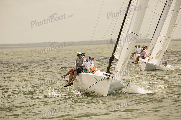 DBP_8013