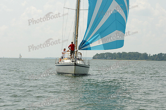 2012 Gov Cup D 353