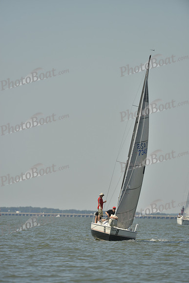 2017 Southern Bay Race Week A_0626