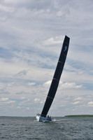 Proteus