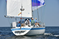 2019 Vineyard Race A_2889