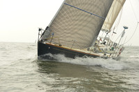 2015 Vineyard Race A 1628