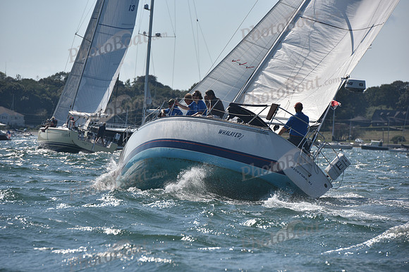 2020 CYC Around the Island Race_1840