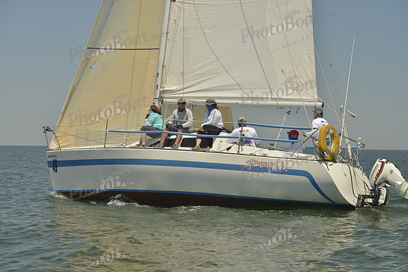 2017 Southern Bay Race Week B_1582