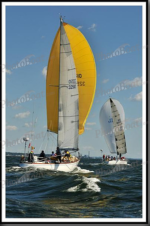proof_2010_Vineyard_Race_0480