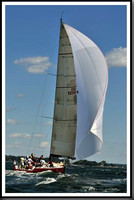 proof_2010_Vineyard_Race_0845