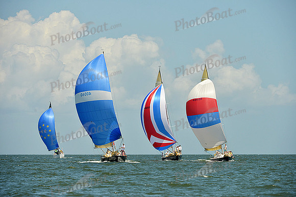 2015 Southern Bay Race Week D 091
