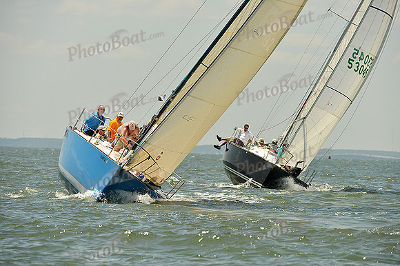 2015 Southern Bay Race Week A 339