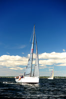 2014 Vineyard Race A 739