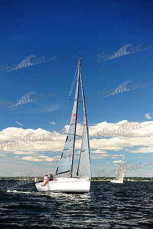 2014 Vineyard Race A 739
