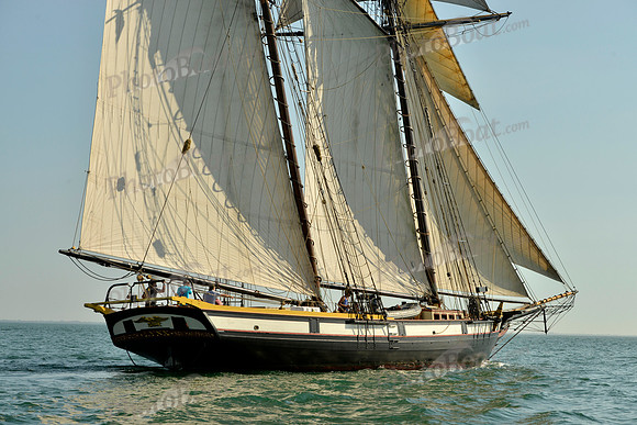 2017 St Petersburg Habana Race_1794