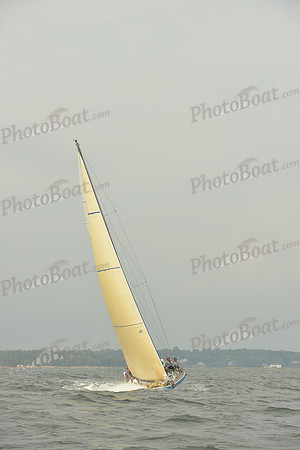 2015 Vineyard Race A 1581