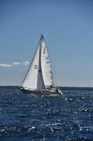 2022 Vineyard Race A_0232