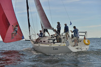 2016 Vineyard Race A_0487