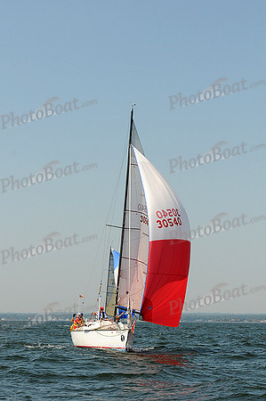 2012 Vineyard Race A 447