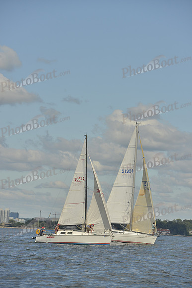 2016 Vineyard Race A_0253