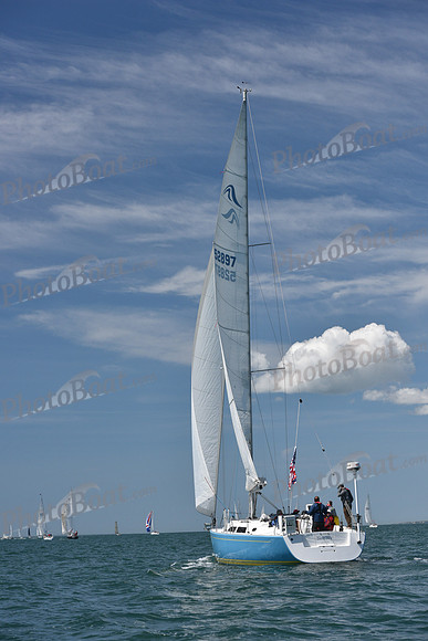 2019 Figawi_0964