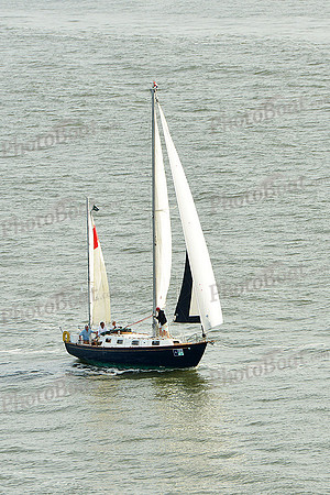 2015 Charleston Race Week C 403