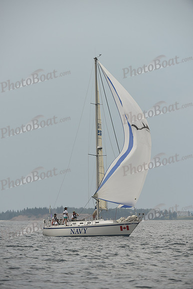 2016 Chester Race Week D_0773