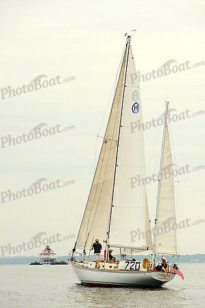 2014 Gov Cup A 869