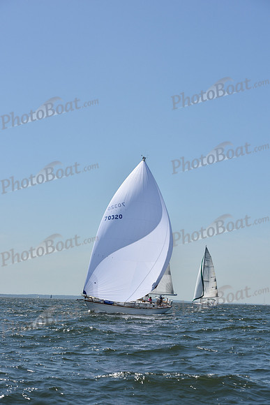 2019 Vineyard Race A_0387