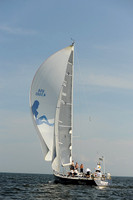 2013 Vineyard Race A 1631
