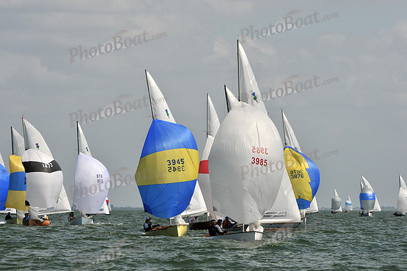2012 Thistle Midwinters B 1393