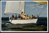 proof_2010_Vineyard_Race_0474