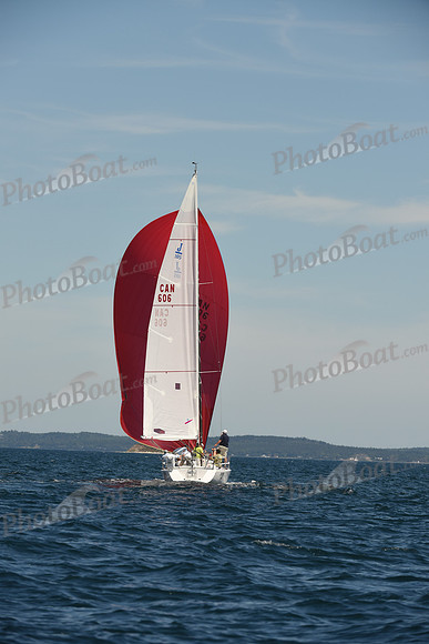 2016 Chester Race Week A_0388