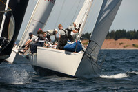 2016 Chester Race Week A_0254