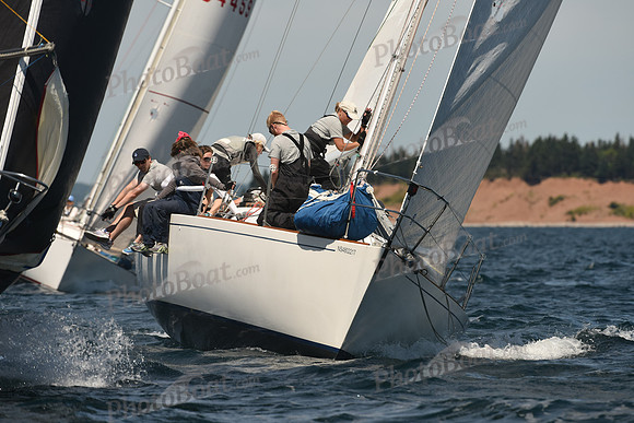 2016 Chester Race Week A_0254