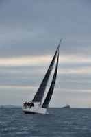 Erizo de Mar