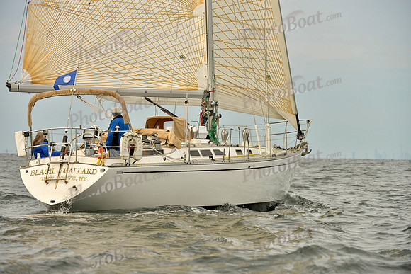 2017 Vineyard Race B_0077