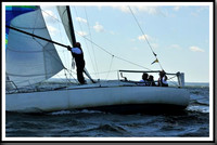 proof_2010_Vineyard_Race_0263