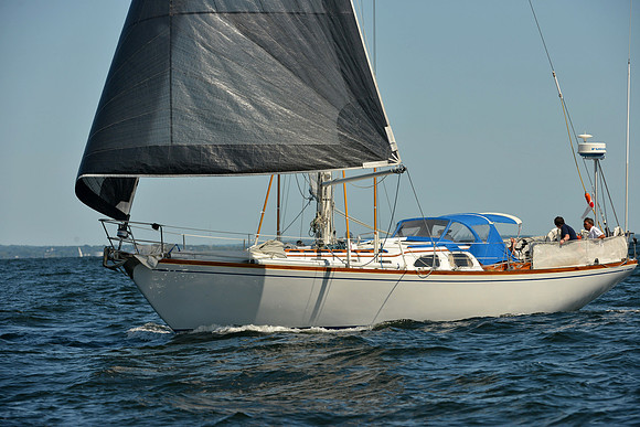 2015 Vineyard Race C 346