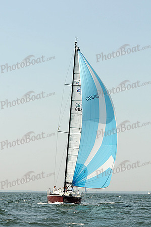 2012 Vineyard Race A 708