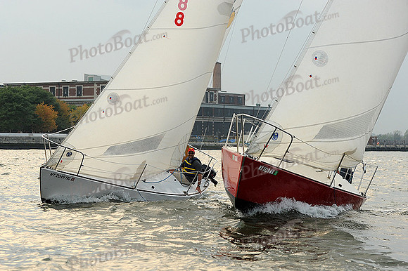 2013 NY-Architects-Regatta 825