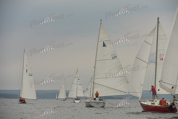 2016 Chester Race Week D_0644