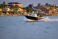 2019 Feb 10 Tampa Bay B_1512