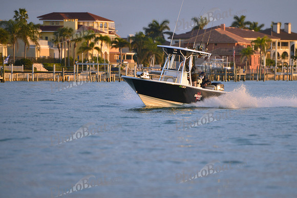 2019 Feb 10 Tampa Bay B_1512
