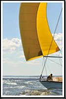 proof_2010_Vineyard_Race_1287