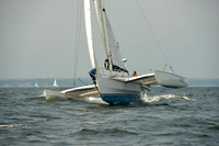 2015 Vineyard Race B 167