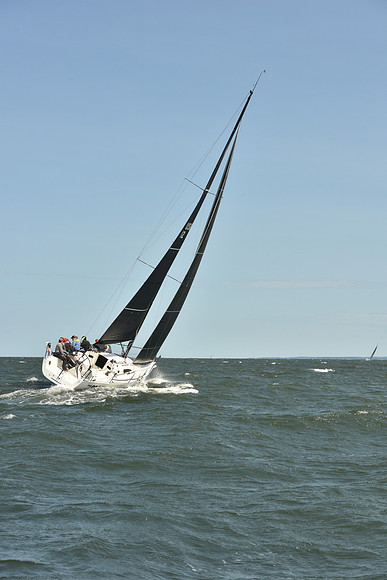 2024 Vineyard Race A_0528