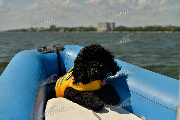 2017 Charleston Race Week B 802