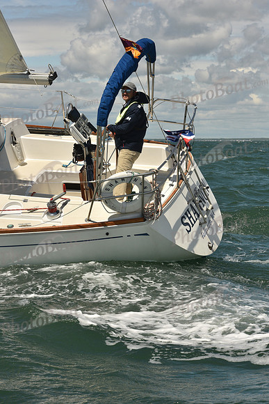 AMC_3857
