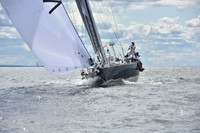 2021 Vineyard Race A 2139