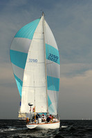 2013 Vineyard Race A 854