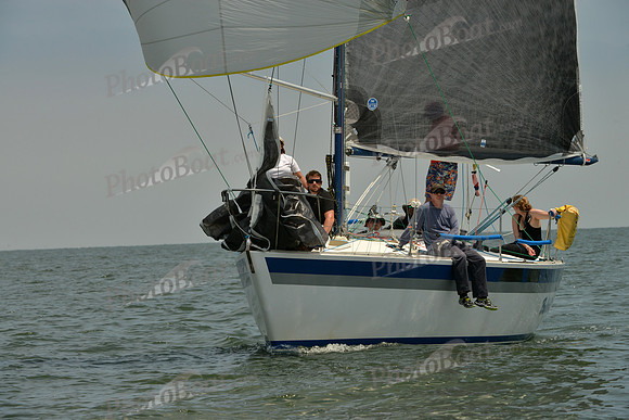 2016 Southern Bay Race Week E_0688