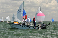2012 Thistle Midwinters C 705