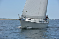 2019 Around Marthas Vineyard A_1380